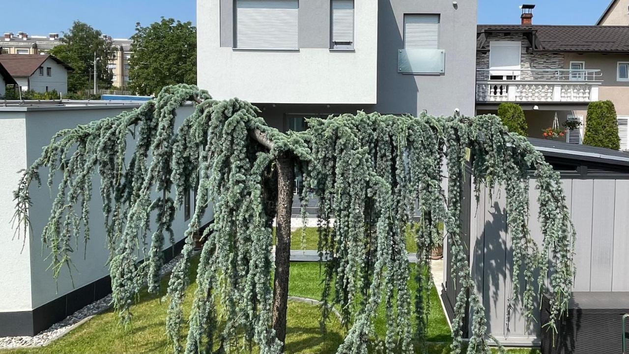 Villa Mami Zagreb Exterior foto